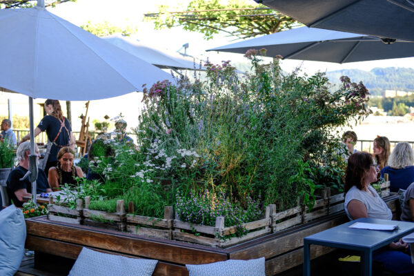 Restaurant Noa, Bern