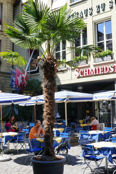 Read more about the article Restaurant Schmiedstube